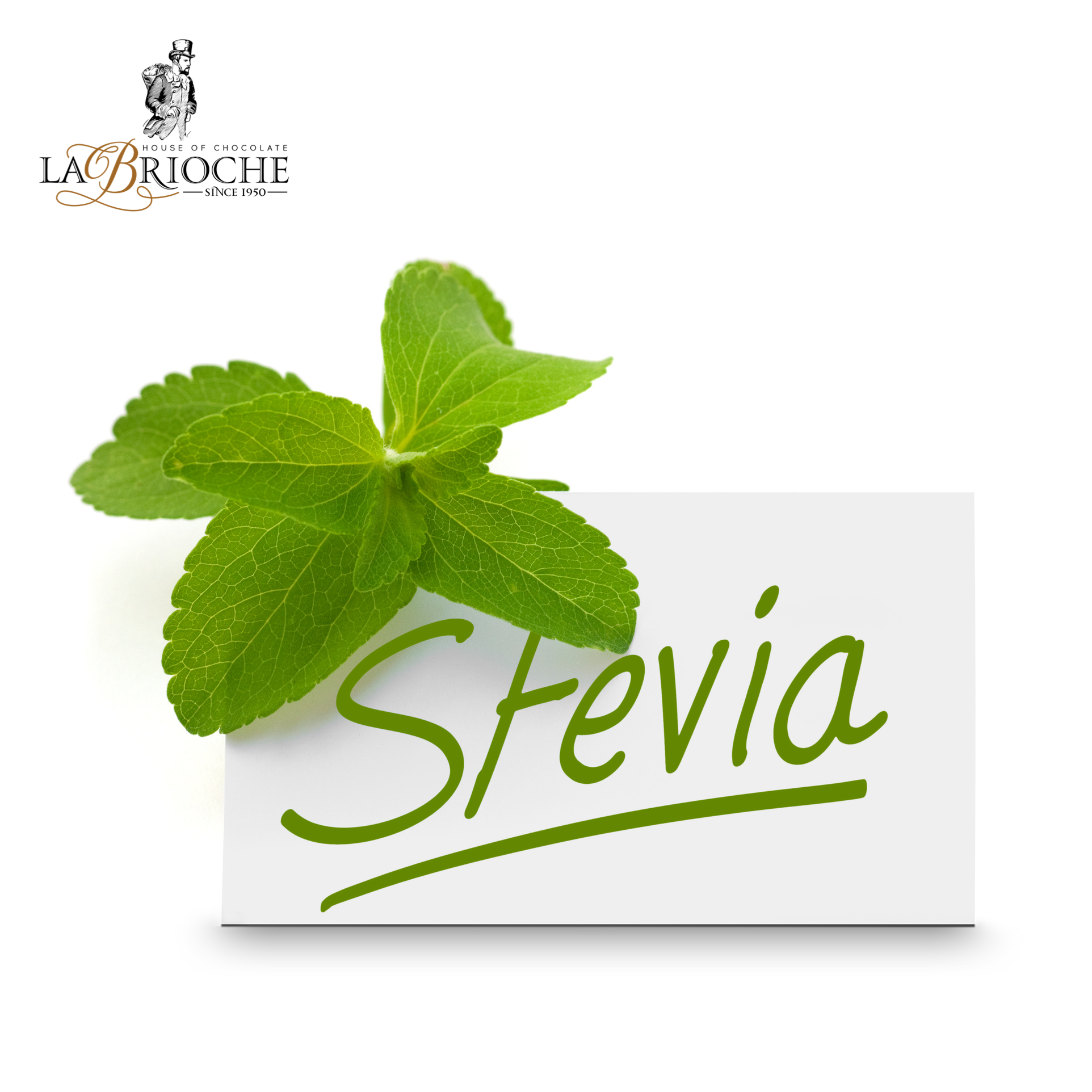 The Sweetener Stevia