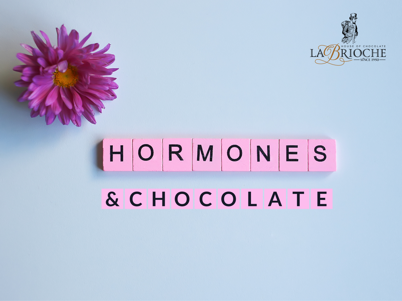 Do Chocolates Have an Effect on Our Hormones?