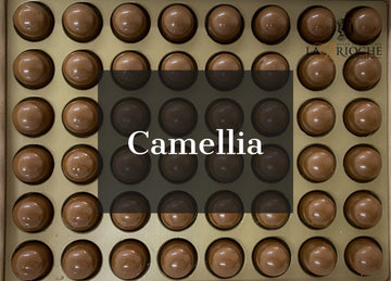 La Brioche Camellia and Orange - La Brioche